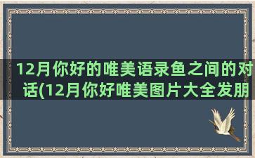 12月你好的唯美语录鱼之间的对话(12月你好唯美图片大全发朋友圈)