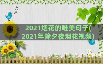 2021烟花的唯美句子(2021年除夕夜烟花视频)