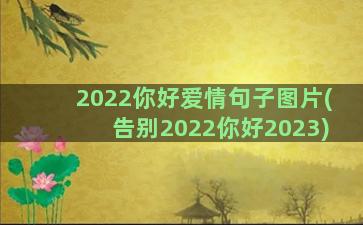 2022你好爱情句子图片(告别2022你好2023)