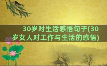 30岁对生活感悟句子(30岁女人对工作与生活的感悟)