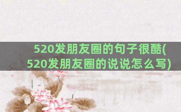 520发朋友圈的句子很酷(520发朋友圈的说说怎么写)