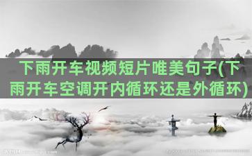 下雨开车视频短片唯美句子(下雨开车空调开内循环还是外循环)