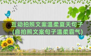 互动拍照文案温柔夏天句子(自拍照文案句子温柔霸气)