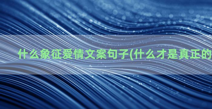 什么象征爱情文案句子(什么才是真正的爱情文案)