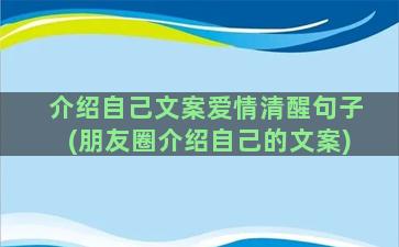 介绍自己文案爱情清醒句子(朋友圈介绍自己的文案)