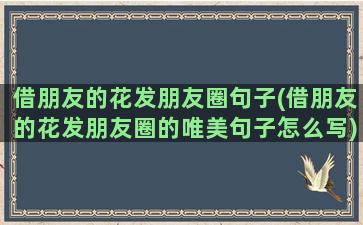 借朋友的花发朋友圈句子(借朋友的花发朋友圈的唯美句子怎么写)