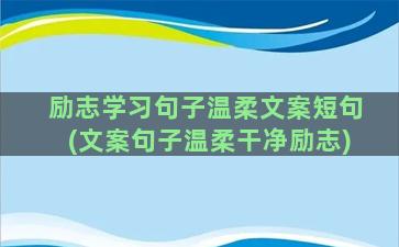 励志学习句子温柔文案短句(文案句子温柔干净励志)