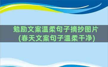 勉励文案温柔句子摘抄图片(春天文案句子温柔干净)