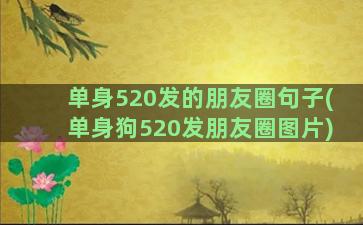 单身520发的朋友圈句子(单身狗520发朋友圈图片)