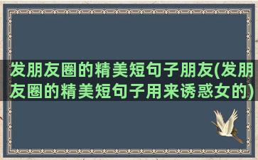 发朋友圈的精美短句子朋友(发朋友圈的精美短句子用来诱惑女的)