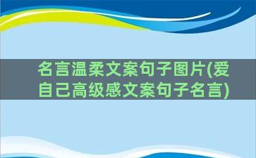 名言温柔文案句子图片(爱自己高级感文案句子名言)