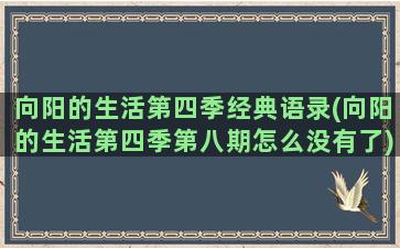 向阳的生活第四季经典语录(向阳的生活第四季第八期怎么没有了)