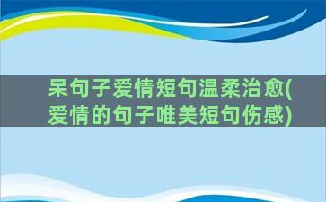 呆句子爱情短句温柔治愈(爱情的句子唯美短句伤感)