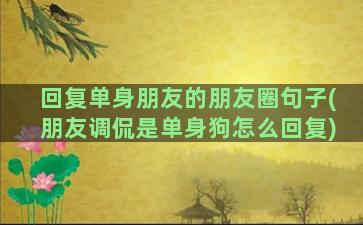 回复单身朋友的朋友圈句子(朋友调侃是单身狗怎么回复)