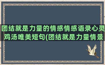 团结就是力量的情感情感语录心灵鸡汤唯美短句(团结就是力量情景剧串词报幕词)