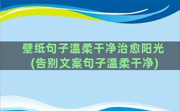 壁纸句子温柔干净治愈阳光(告别文案句子温柔干净)