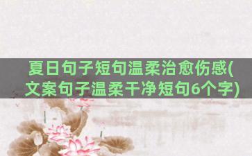 夏日句子短句温柔治愈伤感(文案句子温柔干净短句6个字)