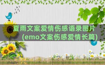 夏雨文案爱情伤感语录图片(emo文案伤感爱情长篇)