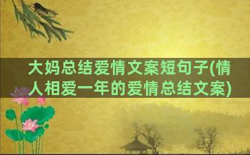 大妈总结爱情文案短句子(情人相爱一年的爱情总结文案)