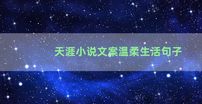 天涯小说文案温柔生活句子