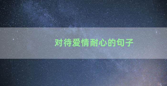 对待爱情耐心的句子