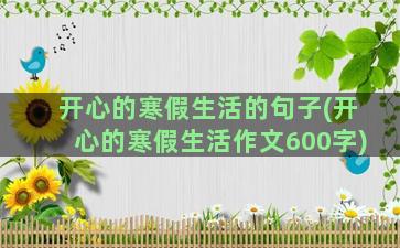 开心的寒假生活的句子(开心的寒假生活作文600字)