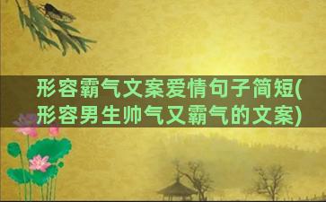 形容霸气文案爱情句子简短(形容男生帅气又霸气的文案)