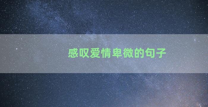 感叹爱情卑微的句子