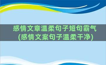 感情文章温柔句子短句霸气(感情文案句子温柔干净)