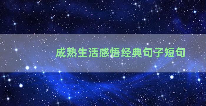 成熟生活感悟经典句子短句