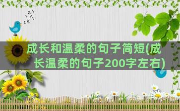 成长和温柔的句子简短(成长温柔的句子200字左右)