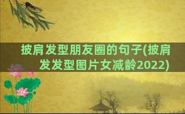 披肩发型朋友圈的句子(披肩发发型图片女减龄2022)