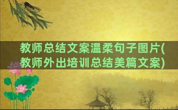 教师总结文案温柔句子图片(教师外出培训总结美篇文案)