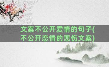 文案不公开爱情的句子(不公开恋情的悲伤文案)