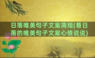 日落唯美句子文案简短(看日落的唯美句子文案心情说说)