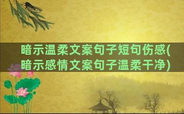 暗示温柔文案句子短句伤感(暗示感情文案句子温柔干净)