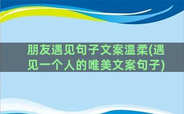 朋友遇见句子文案温柔(遇见一个人的唯美文案句子)