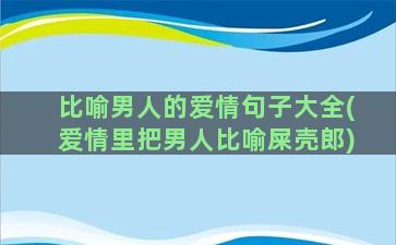 比喻男人的爱情句子大全(爱情里把男人比喻屎壳郎)