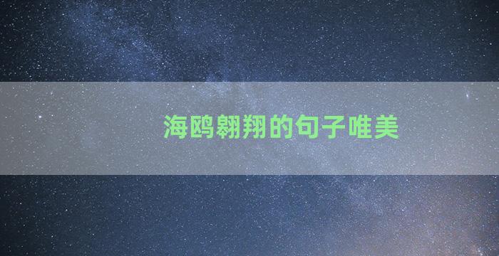 海鸥翱翔的句子唯美