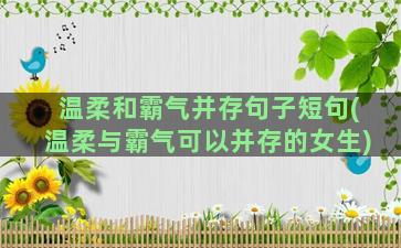 温柔和霸气并存句子短句(温柔与霸气可以并存的女生)