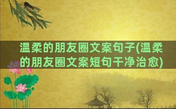 温柔的朋友圈文案句子(温柔的朋友圈文案短句干净治愈)