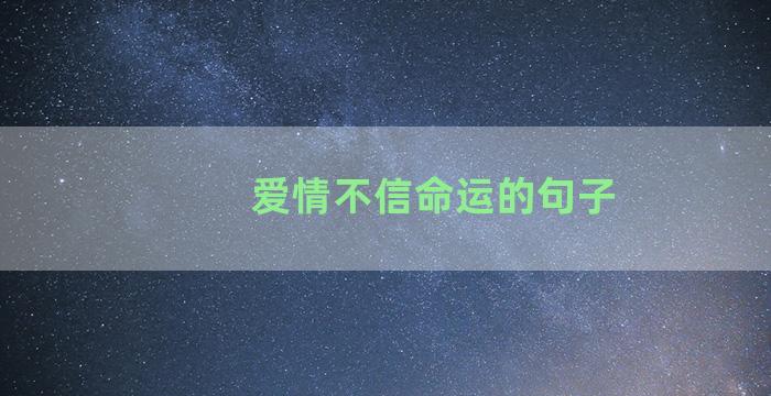 爱情不信命运的句子