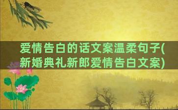 爱情告白的话文案温柔句子(新婚典礼新郎爱情告白文案)