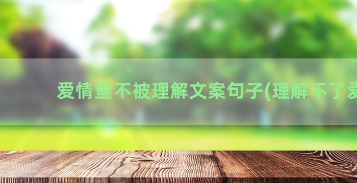 爱情里不被理解文案句子(理解不了爱情)