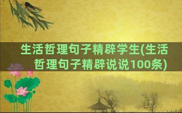 生活哲理句子精辟学生(生活哲理句子精辟说说100条)