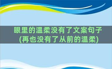 眼里的温柔没有了文案句子(再也没有了从前的温柔)