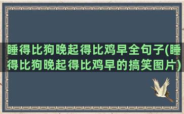 睡得比狗晚起得比鸡早全句子(睡得比狗晚起得比鸡早的搞笑图片)