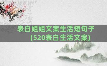 表白姐姐文案生活短句子(520表白生活文案)