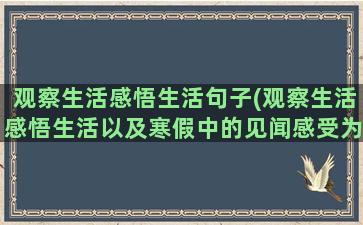 观察生活感悟生活句子(观察生活感悟生活以及寒假中的见闻感受为话题写作文)