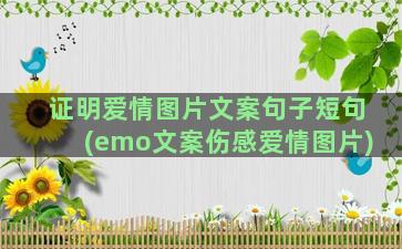 证明爱情图片文案句子短句(emo文案伤感爱情图片)